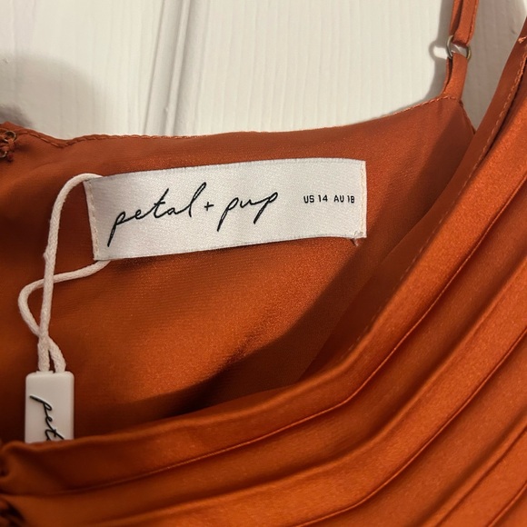 Petal and Pup Naira Pleated Maxi Dress - Picture 5 of 5